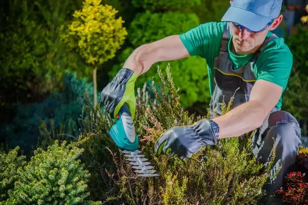landscaping services Westmere